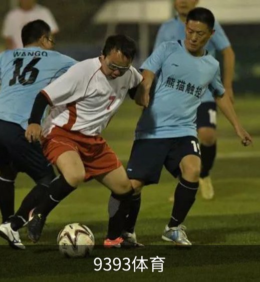 关于9393体育